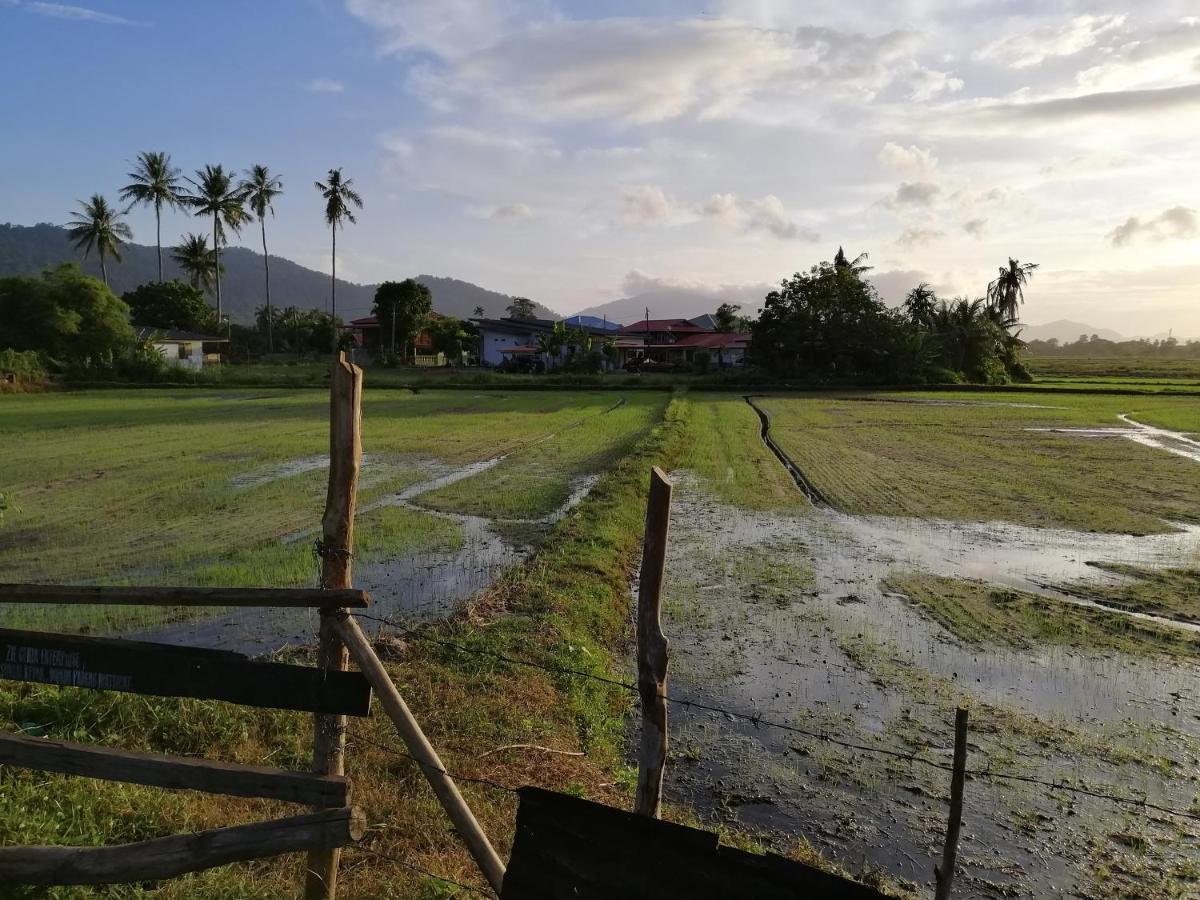 Teriang Village Inn Padang Mat Sirat Exterior photo